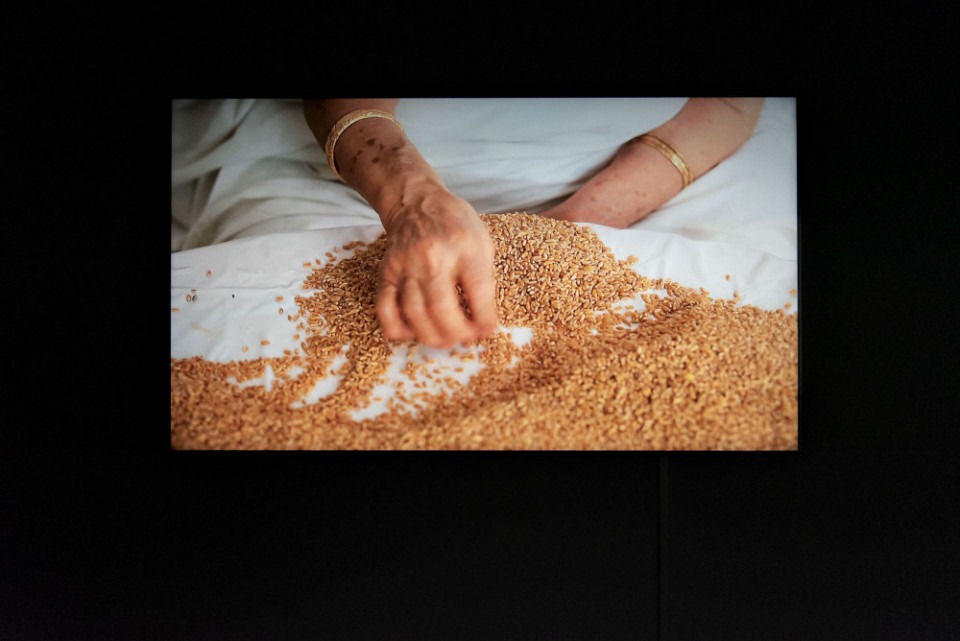 Photo personne triant grain de blé